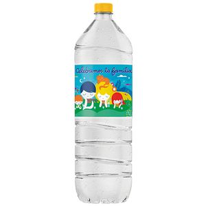 Agua mineral Villa del Sur 2.25/2.5 lt