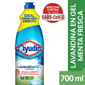 Lvandina Ayudin en gel menta 700 / 750 cc